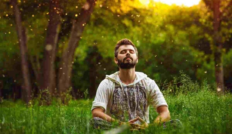 La Ayahuasca para sanar existe