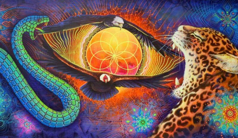 Todo sobre el Ayahuasca