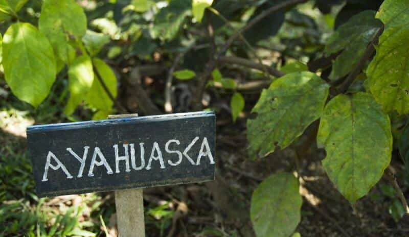 Ritual de Ayahuasca en Perú