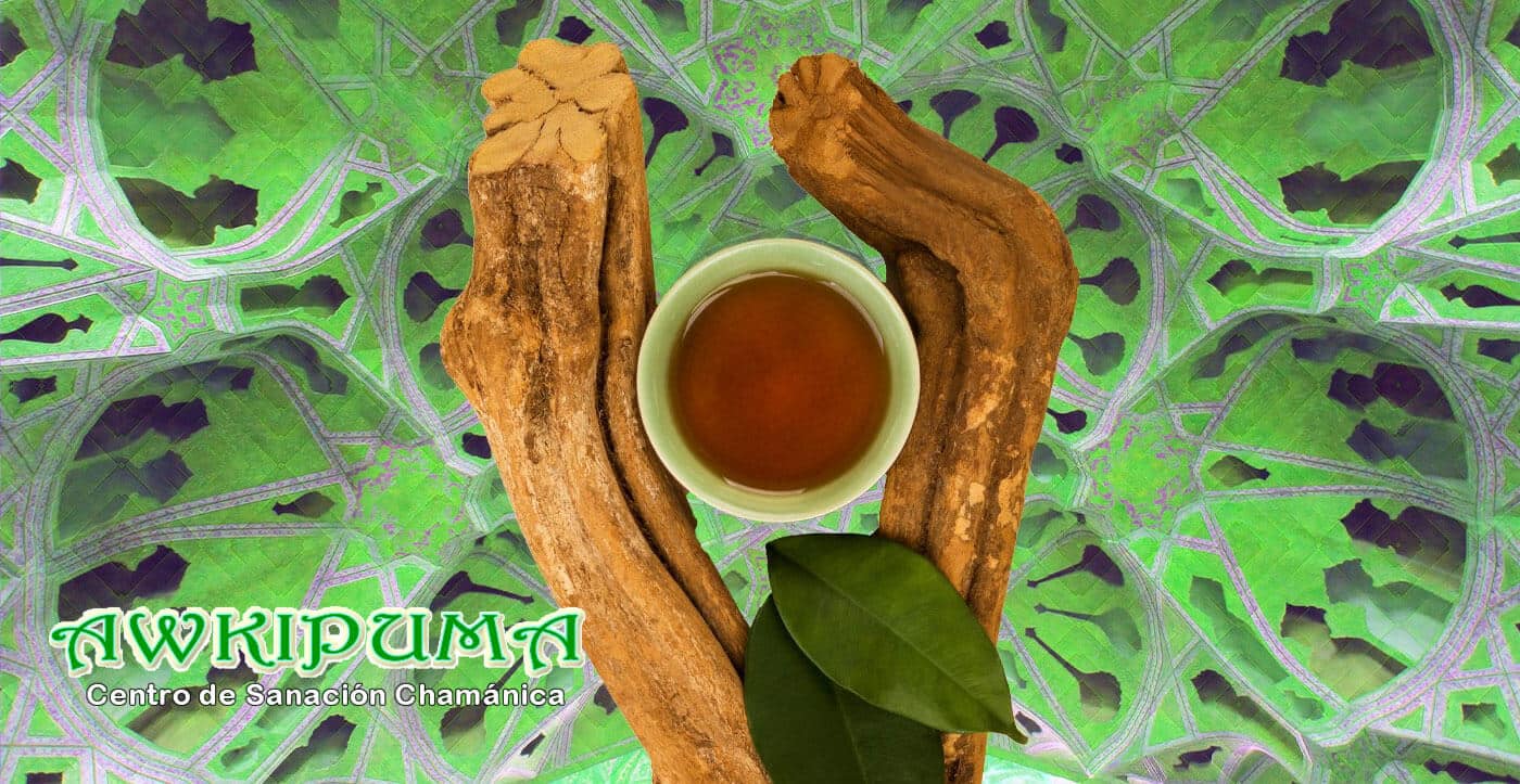 Ayahuasca-La-cura-para-la-adicción