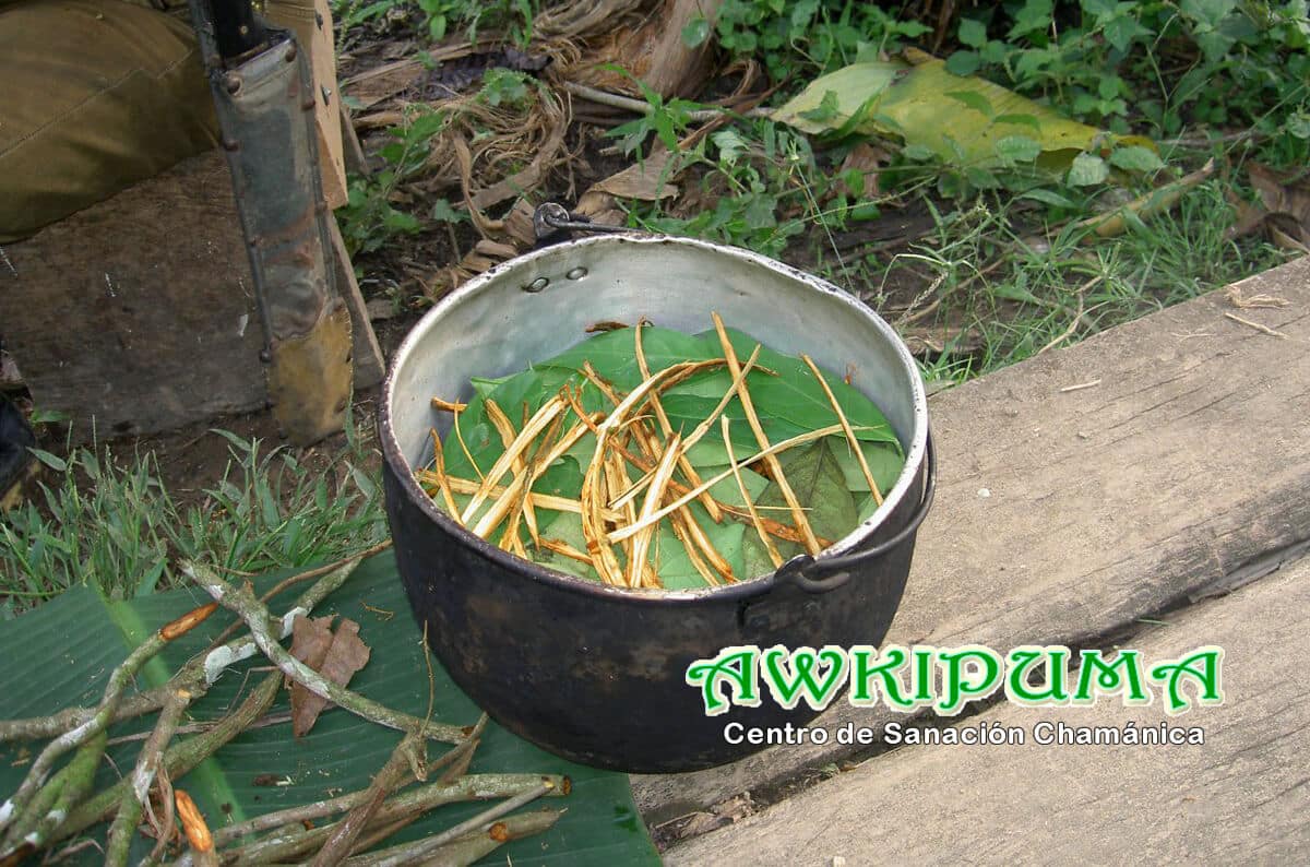 la-guía-definitiva-para-un-retiro-de-Ayahuasca-en-Perú