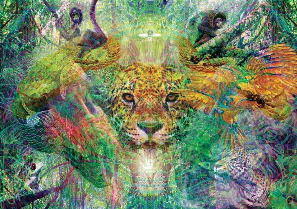 What Is My Shamanic Spirit Animal?